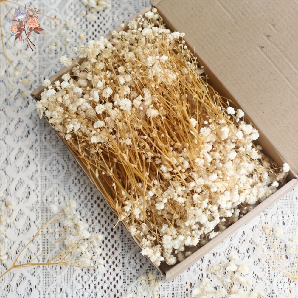 100 Piezas de Flores Secas de  - Embellish Craft reseña y precio